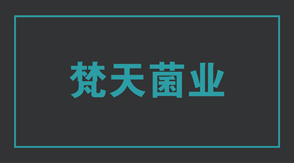 食品行业常州金坛区工作服设计款式